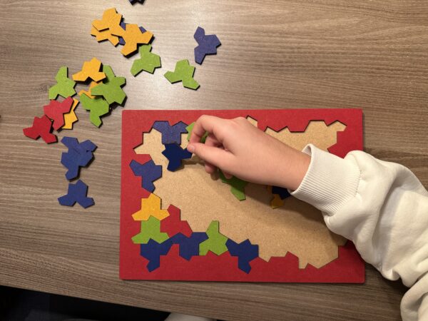 EinStein Puzzle Holzpuzzle Knobelspiel - einzigartig! – Bild 12